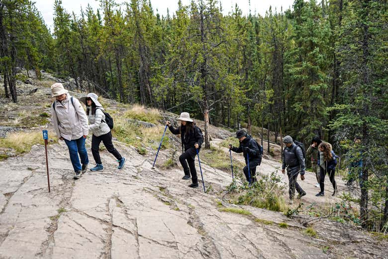 Recorriendo el sendero que lleva a las cascadas