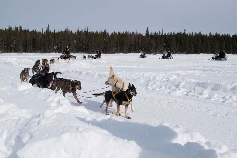 Atravesando los helados parajes de Yellowknife