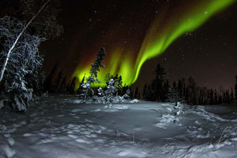 Cielos teñidos de la aurora boreal