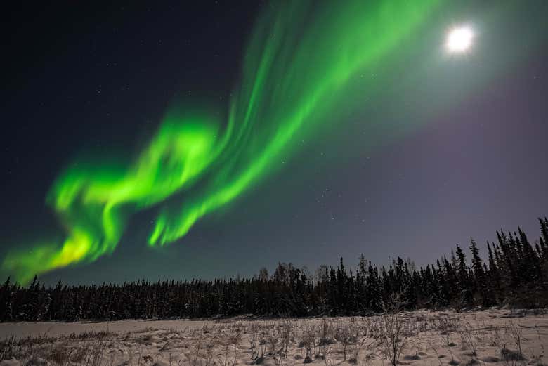 La aurora boreal con luna llena