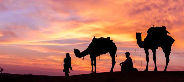 Desert Safari en Doha