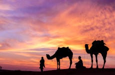 Doha Safari Camel Ride & Sandboarding