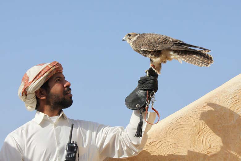 Cetrería en el desierto de Doha