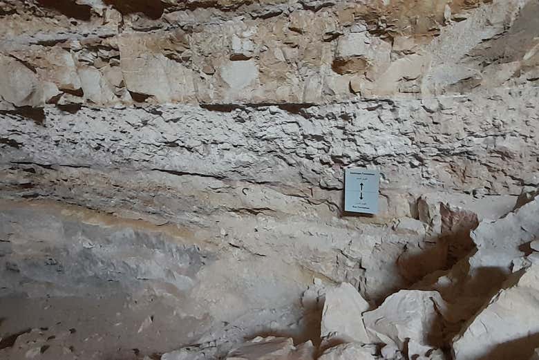 Descubriendo los secretos de Dhal Al Misfir