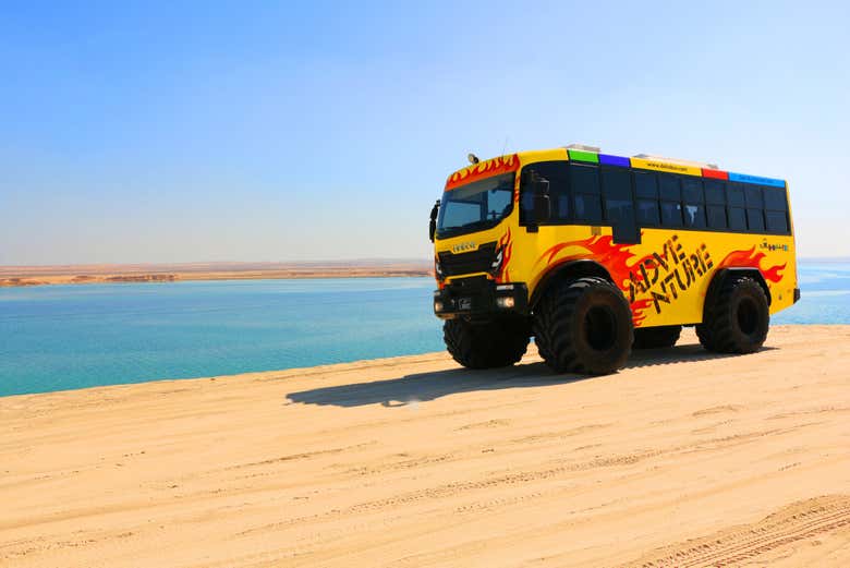 Rule the desert and conquer the dunes in our Monster Bus.