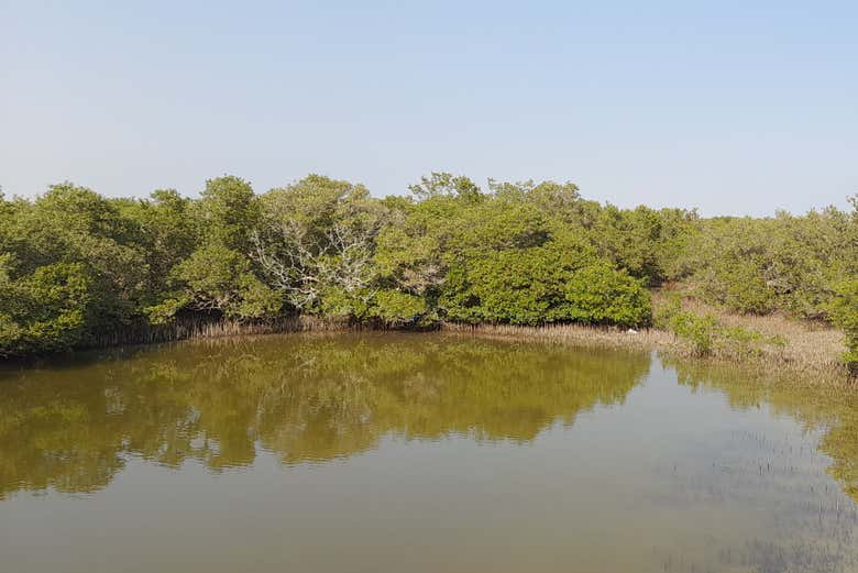 Paddle around this unique landscape