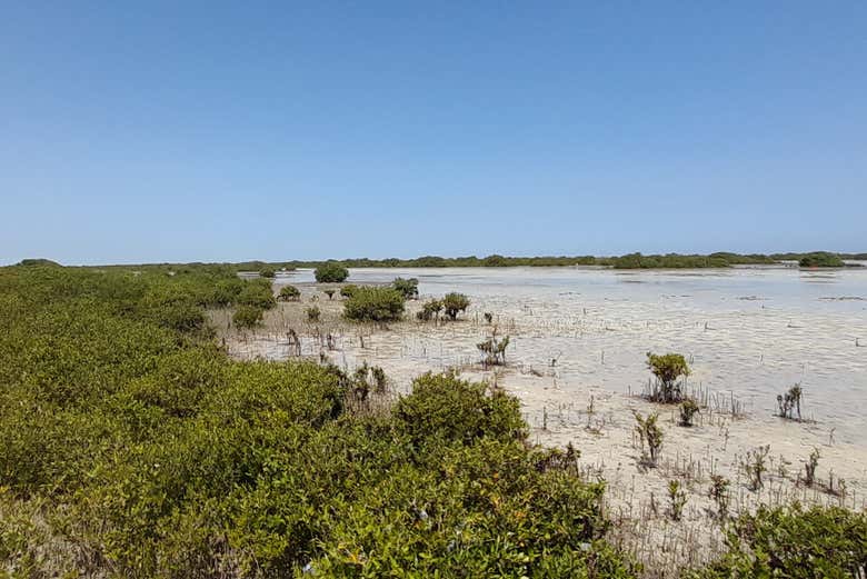 Discover this natural reserve in Qatar