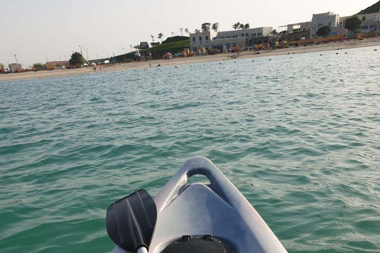 Paddle around Qatar's mangroves