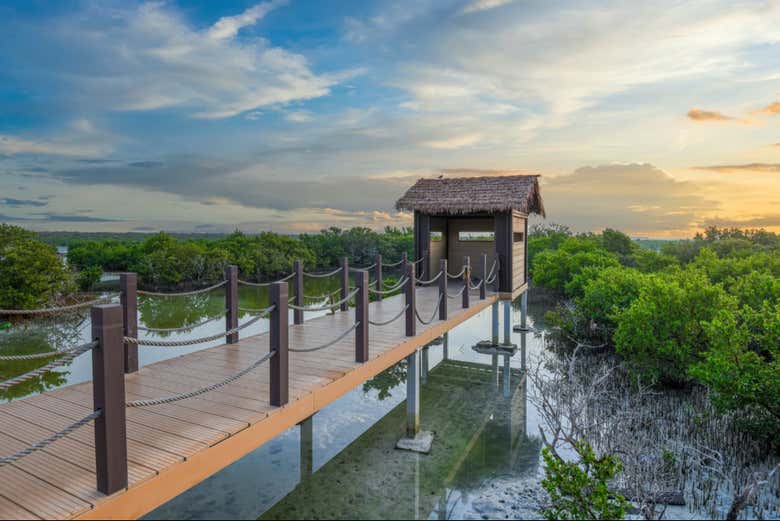 Admire the beautiful sunset at Purple Island