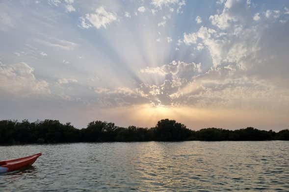 Al Thakira Reserve Kayak Tour