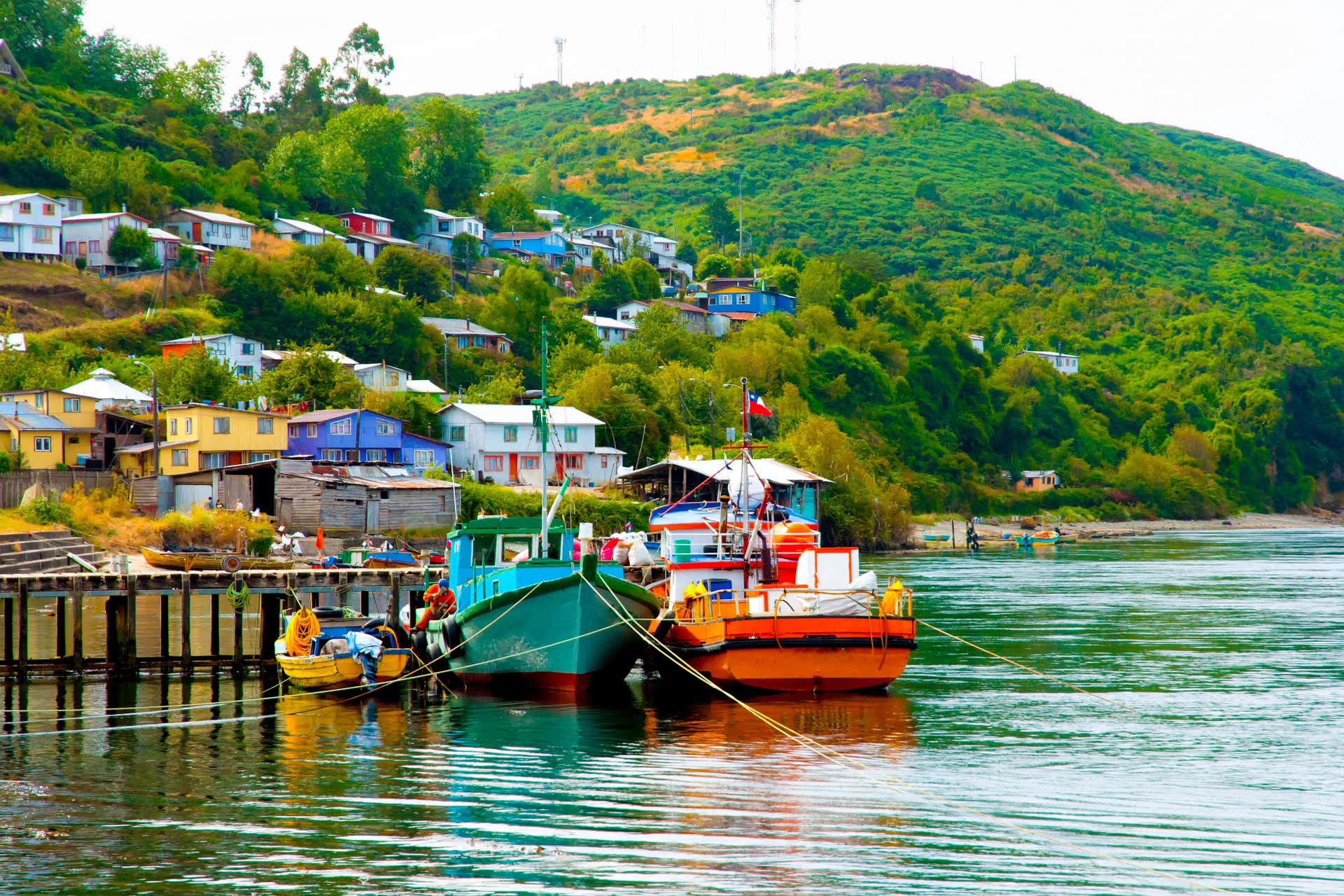 Tour por Ancud y Puñihuil