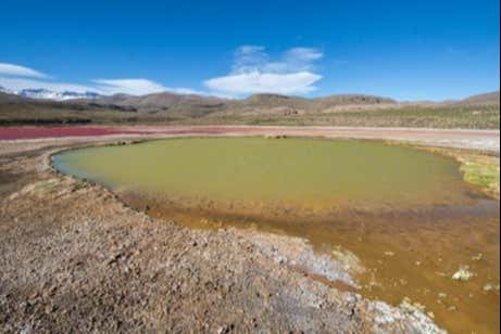 Laguna Verde