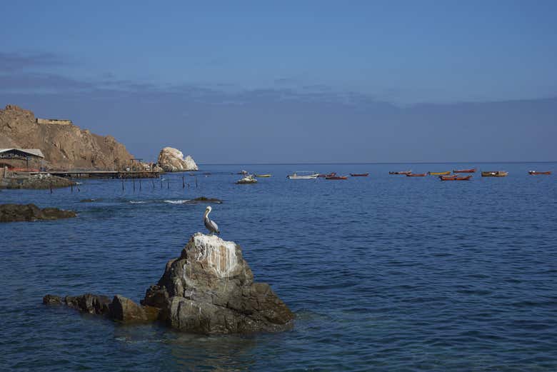 Coastal views in Pisague