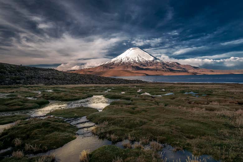 Vulcano Parinacota e lago Chungará
