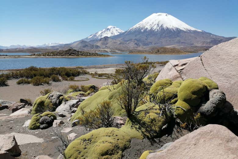 Paisagens da região comunitária Aymara