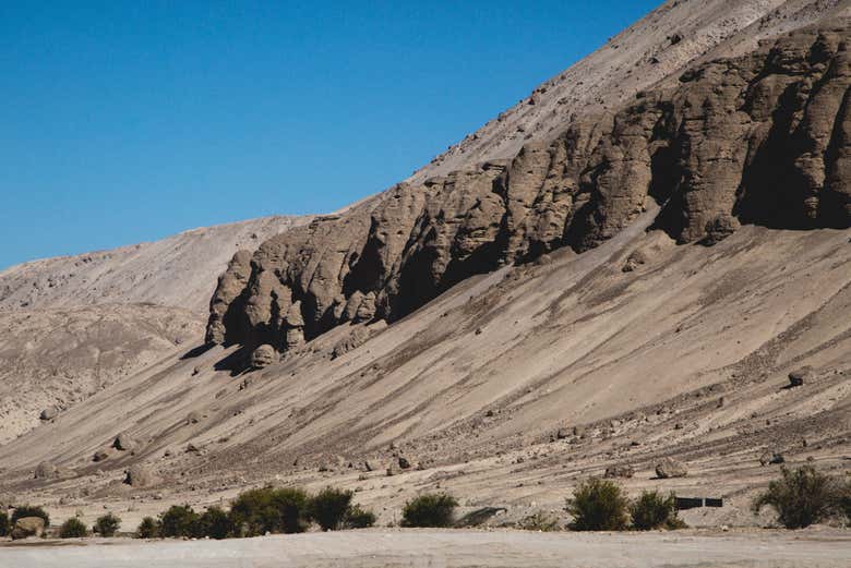 Paesaggi della Valle di Azapa