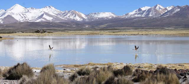Tour de 6 dias pela região comunitária Aymara