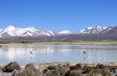 Aymara Region 6-day Tour