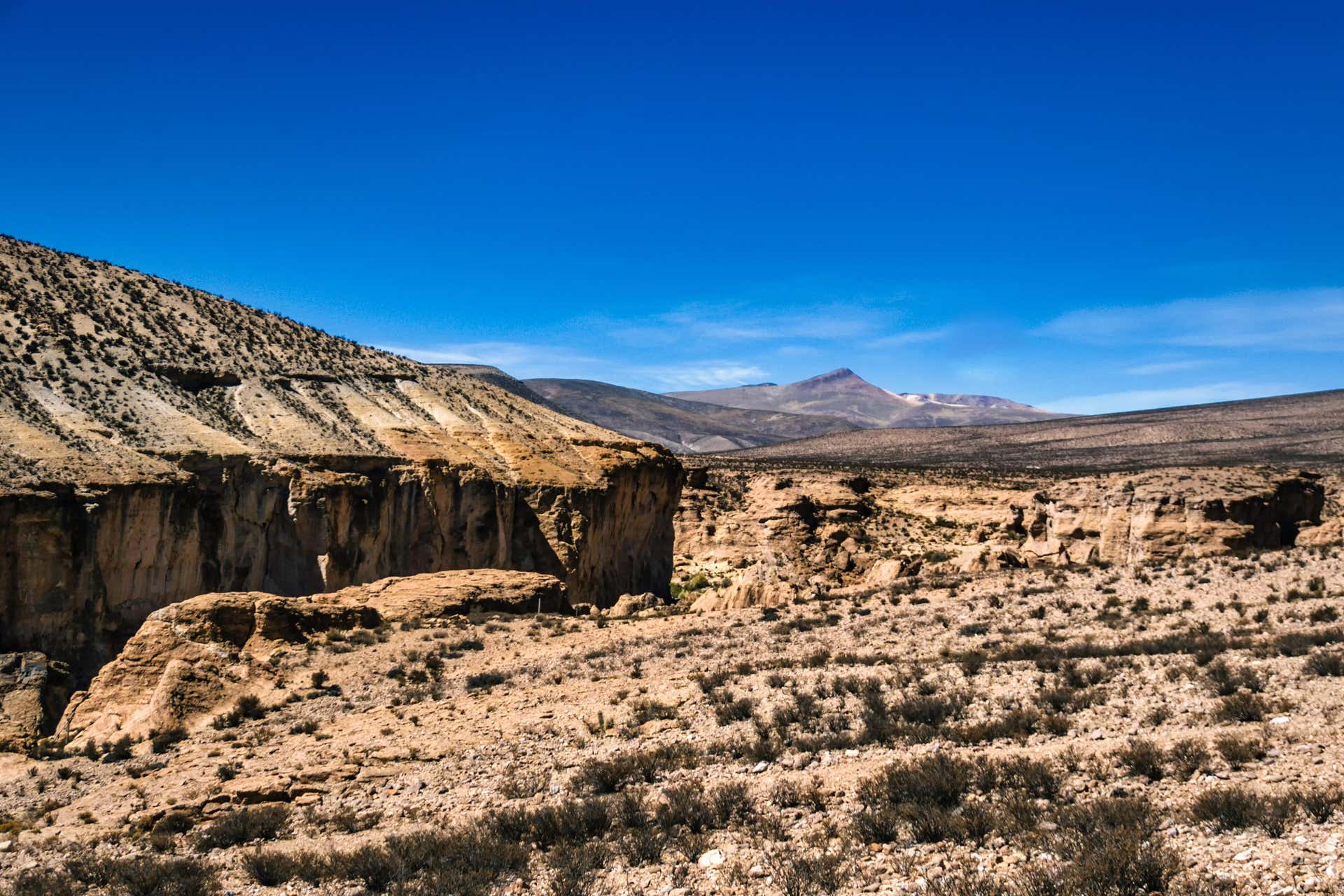 Tour della valle di Codpa da Arica Prenotazione a
