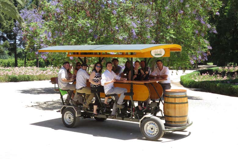 Alla scoperta della Viña Santa Rita in pedal bar