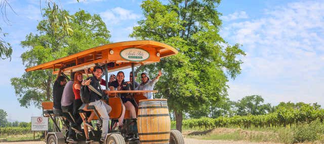 Tour privado en pedal bar por la bodega Viña Santa Rita