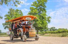 Tour privato della cantina Viña Santa Rita in pedal bar