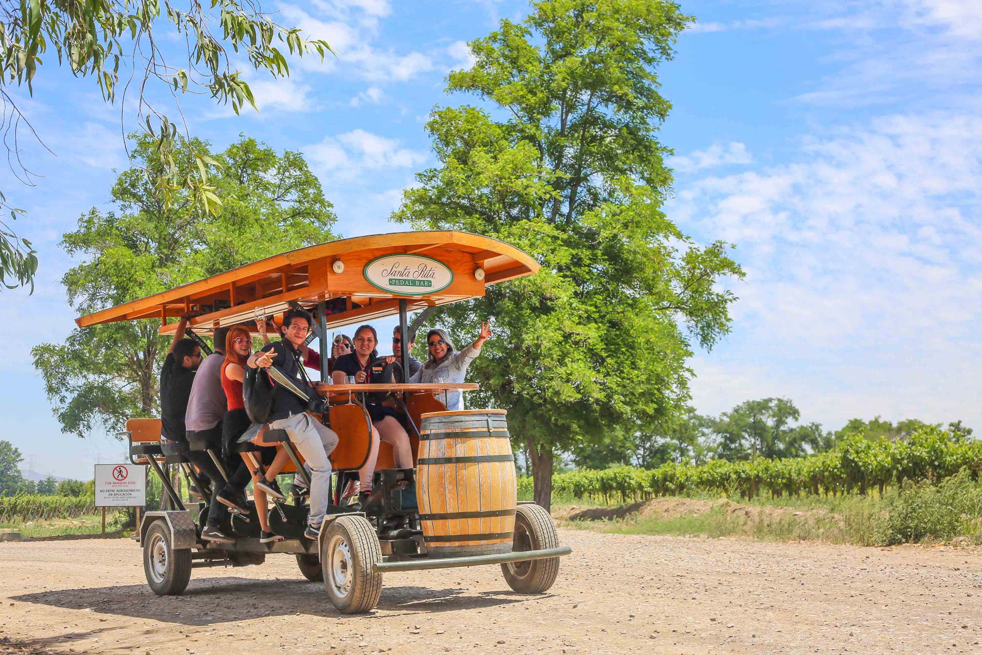 Tour en pedal bar por la bodega Viña Santa Rita de Buin