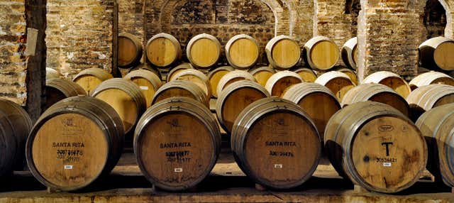 Visita a la bodega Viña Santa Rita