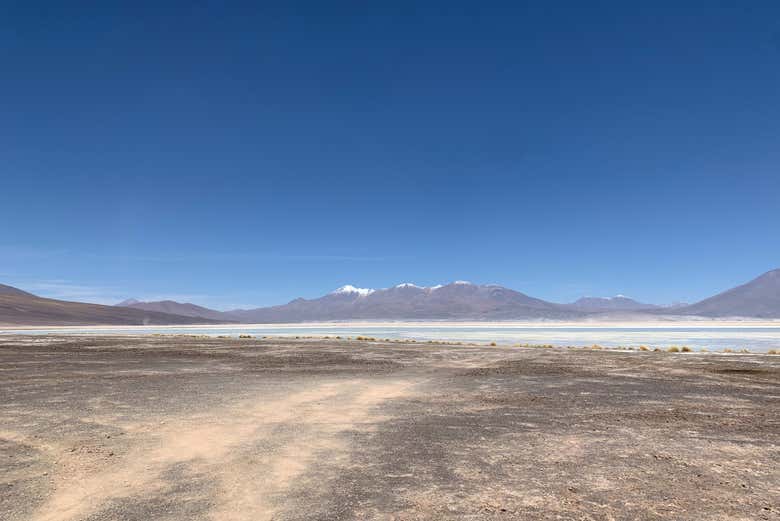 Saline di Ascotán