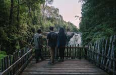 Excursion au parc Tepuhueico