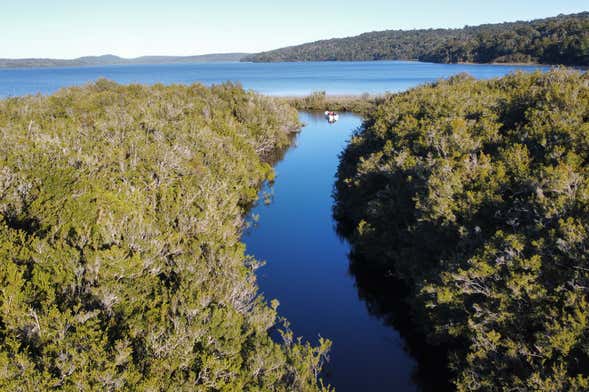 Paseo en barco por el lago Tepuhueico