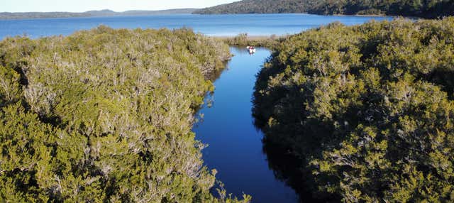 Passeio de barco pelo lago Tepuhueico