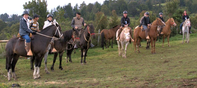 Paseo a caballo por Chiloé