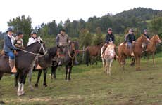 Passeggiata a cavallo a Chiloé