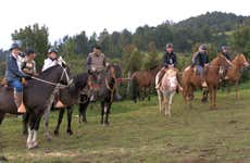 Chiloé Horse Riding Activity