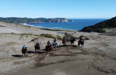 Balade à cheval au parc Tepuhueico