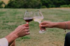 Visita a la bodega Viña Don Heraldo