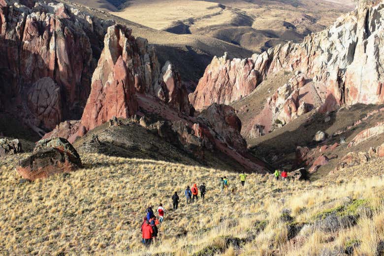 Caminando por el Parque Nacional Patagonia