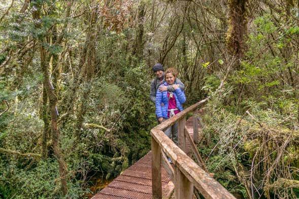 Excursão ao Parque Tantauco