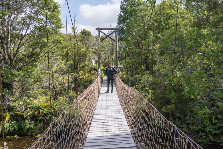 Caminando por los senderos del Parque Tantauco