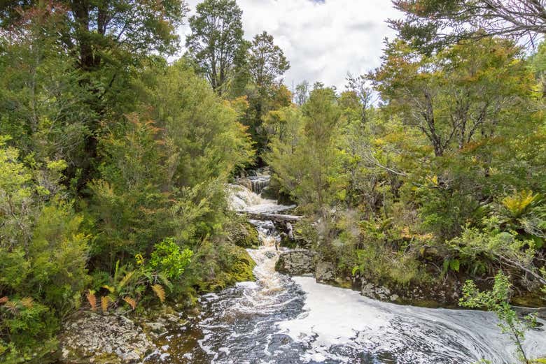 Paisajes del Parque Tantauco