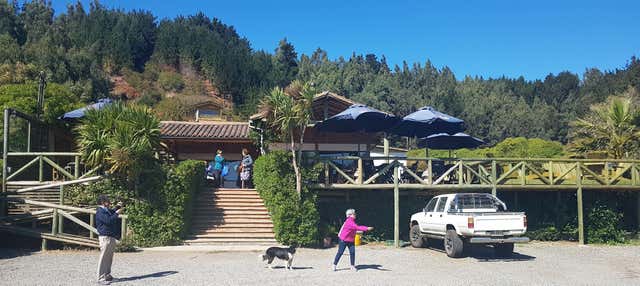 Excursión a Ninhue y Buchupureo