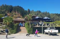 Excursión a Ninhue y Buchupureo