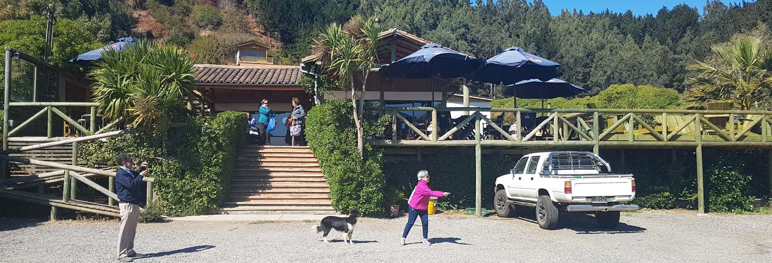 Excursiones de un día en Concepción
