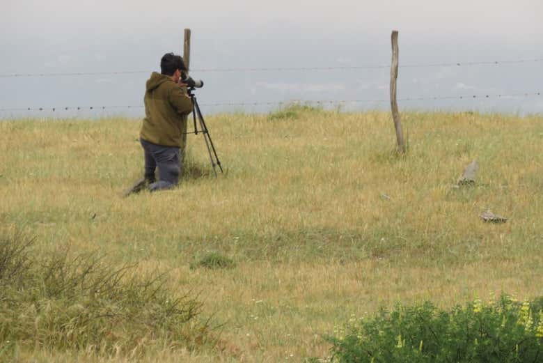Preparando el avistamiento de aves