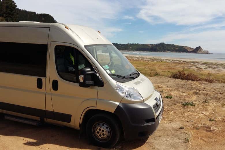 Esplorando le spiagge di Arauco