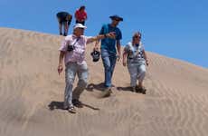 Concón Surfing Lesson & Dunes Hike