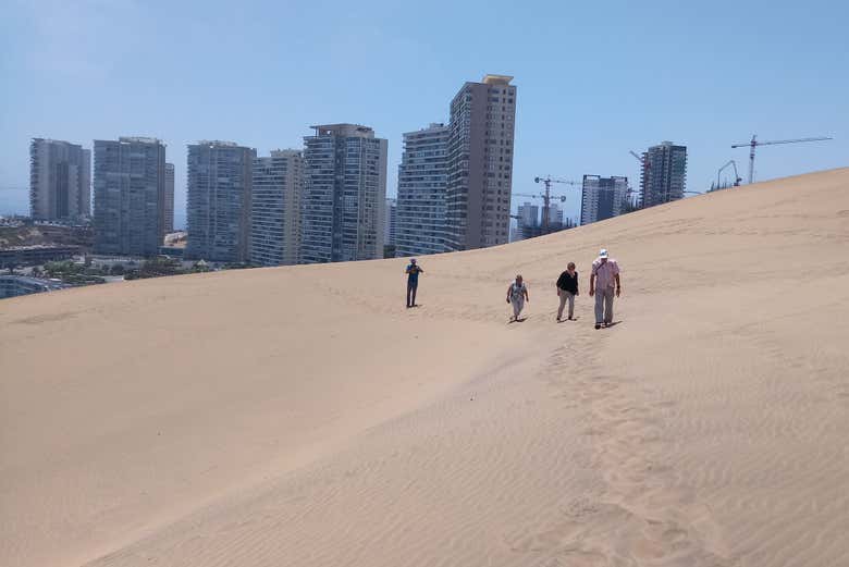 Walking through the sand dunes of Concón
