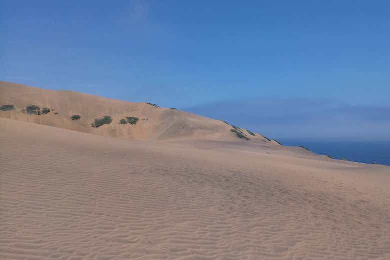 Scenery around the sand dunes of Concón