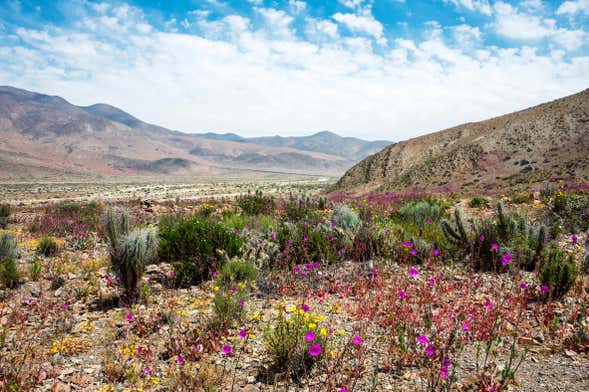 Atacama Valley & Desert 2-Day Tour